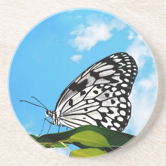 Butterfly & Sky Coaster (Front)