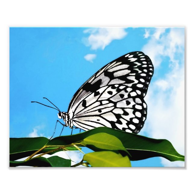 Butterfly & Sky Photo Print (Front)