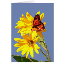 Butterfly Smile