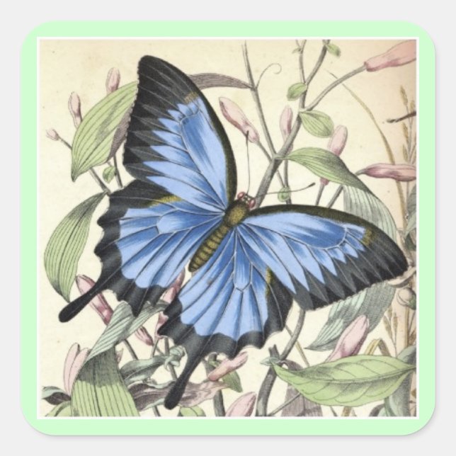 Butterfly Square Sticker. Sticker (Front)