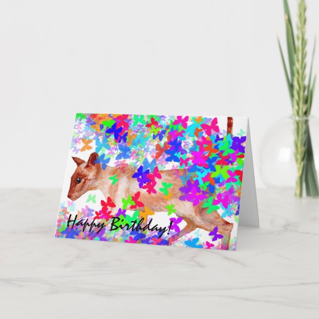 butterfly stalking cat birthday card (Front)