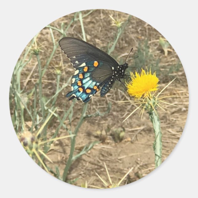 Butterfly Sticker (Front)