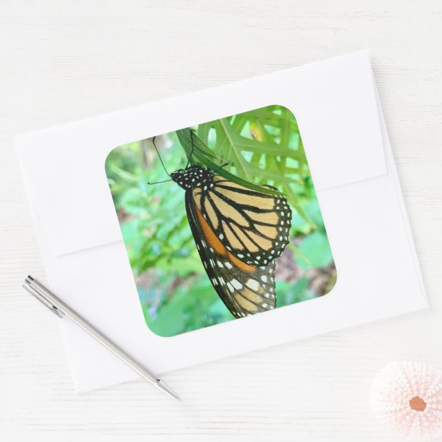 Butterfly Sticker (Envelope)