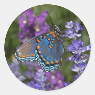 butterfly sticker #1