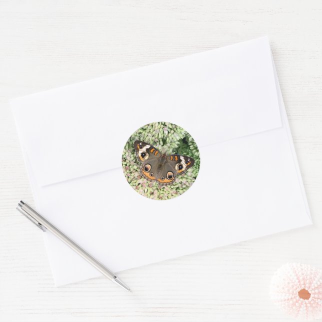 Butterfly Stickers (Envelope)