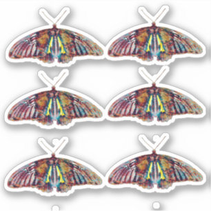 Butterfly Stickers Sheet of Six