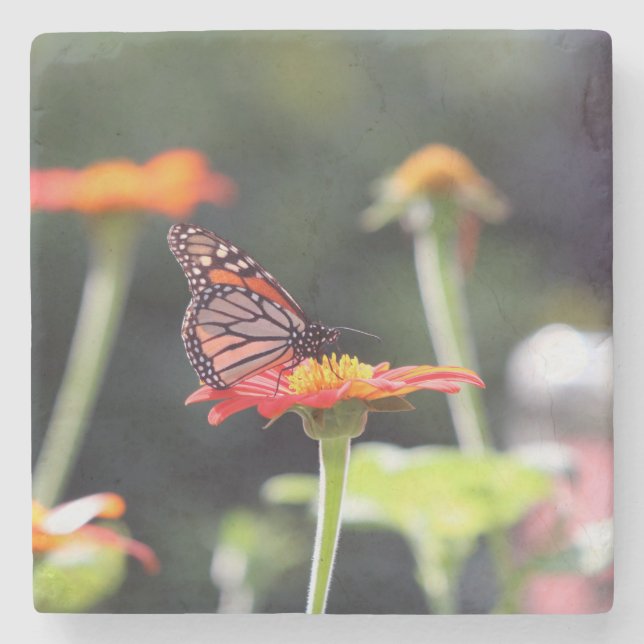 Butterfly Stone Coasters (Front)