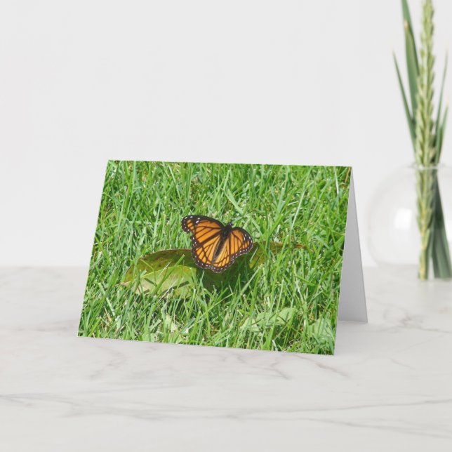Butterfly summer card (Front)