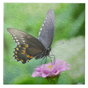 Butterfly Summer Tile