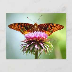Butterfly Sunrise Postcard