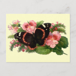 Butterfly & Sweet Pea Floral Garden Gifts Design Postcard