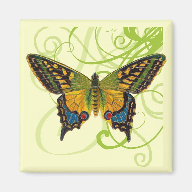 Butterfly Swirls Magnet (Front)