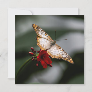 Butterfly Thank You Card