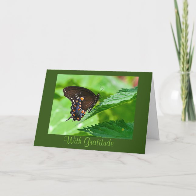 Butterfly Thank You Card (Front)