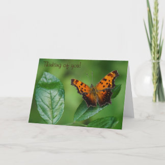 Butterfly Thinking of You! Card