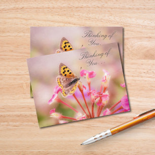 Butterfly Thinking Of You  Postcard