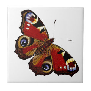 Butterfly Tile