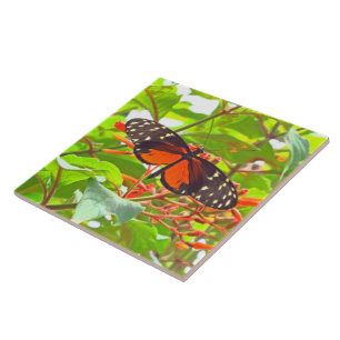 "BUTTERFLY" TILE/TRIVET (PHOTOG) TILE