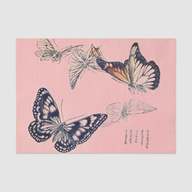 BUTTERFLY Tissue Paper (Front)