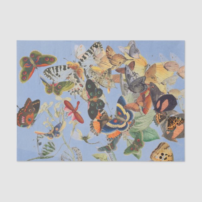 BUTTERFLY Tissue Paper (Front)