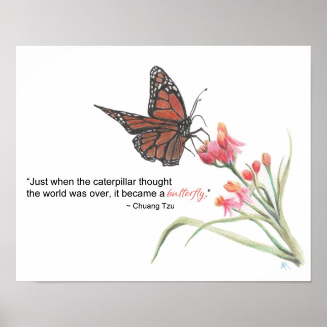 Butterfly Transformation Drawing Art Print (Front)