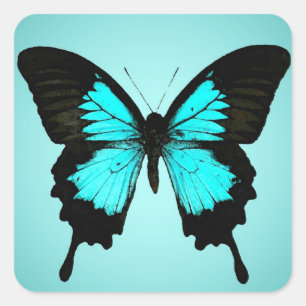 Butterfly - turquoise blue and black square sticker