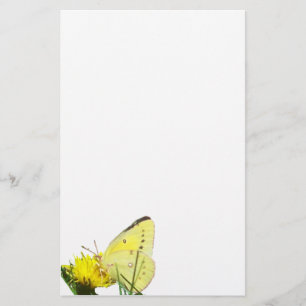Butterfly Unlined Stationery