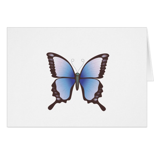 Butterfly: Vector Illustration: (Front Horizontal)