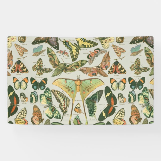 Butterfly Vintage Antique Butterflies Art Banner (Horizontal)