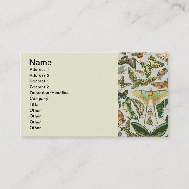 Butterfly Vintage Antique Butterflies Art Business Card (Front)