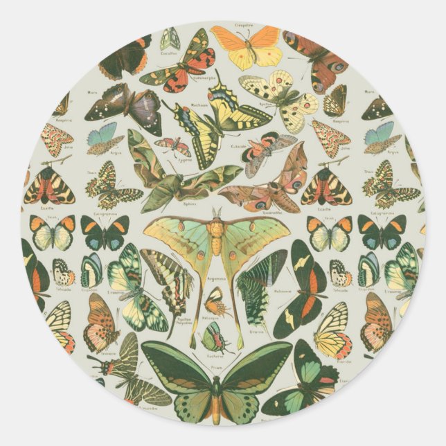 Butterfly Vintage Antique Butterflies Art Classic Round Sticker (Front)