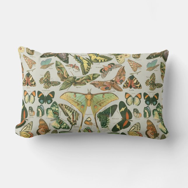 Butterfly Vintage Antique Butterflies Art Lumbar Cushion (Front)