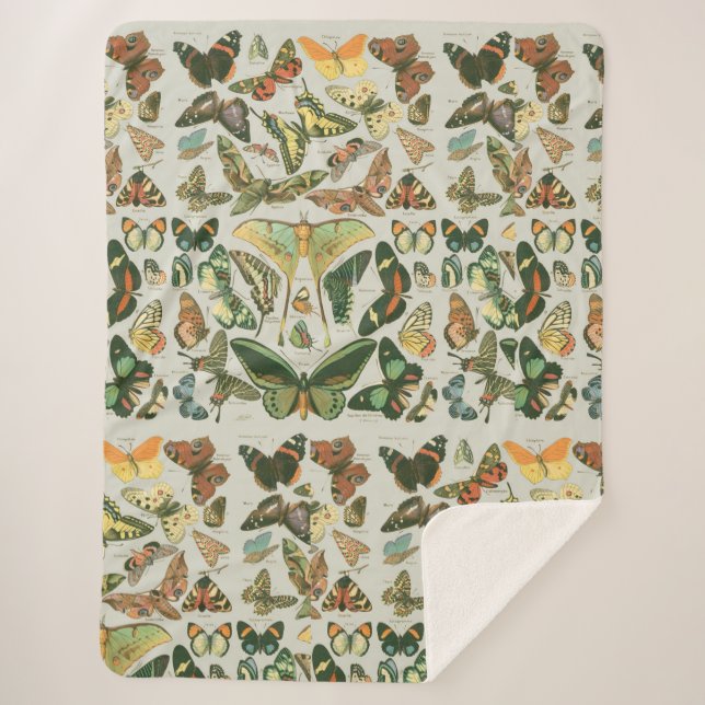 Butterfly Vintage Antique Butterflies Art Sherpa Blanket (Front)