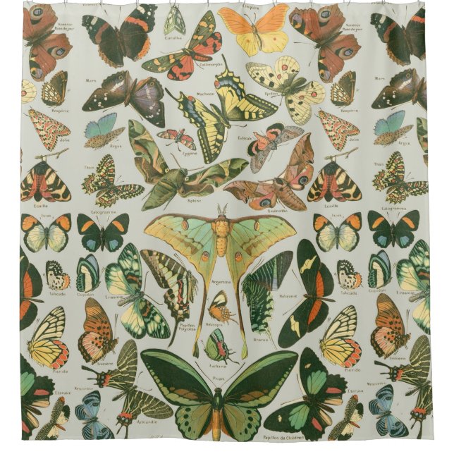 Butterfly Vintage Antique Butterflies Art Shower Curtain (Front)