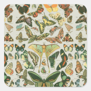 Butterfly Vintage Antique Butterflies Art Square Sticker