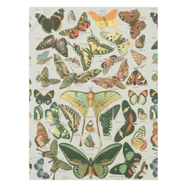 Butterfly Vintage Antique Butterflies Art Tablecloth (Front)
