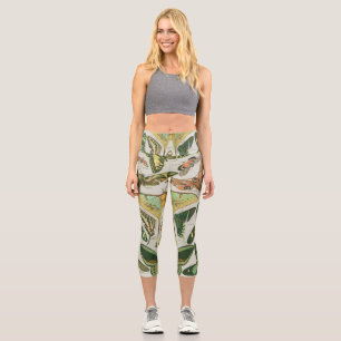 Butterfly Vintage Antique Butterflies Pattern Capri Leggings