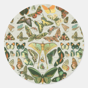Butterfly Vintage Antique Butterflies Pattern Classic Round Sticker