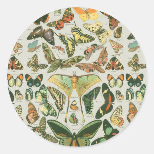 Butterfly Vintage Antique Butterflies Pattern Classic Round Sticker