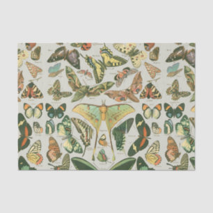 Butterfly Vintage Antique Butterflies Pattern Tissue Paper