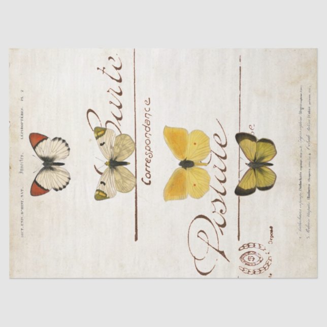 Butterfly Vintage French Carte Postale Decoupage   Tissue Paper (Front)