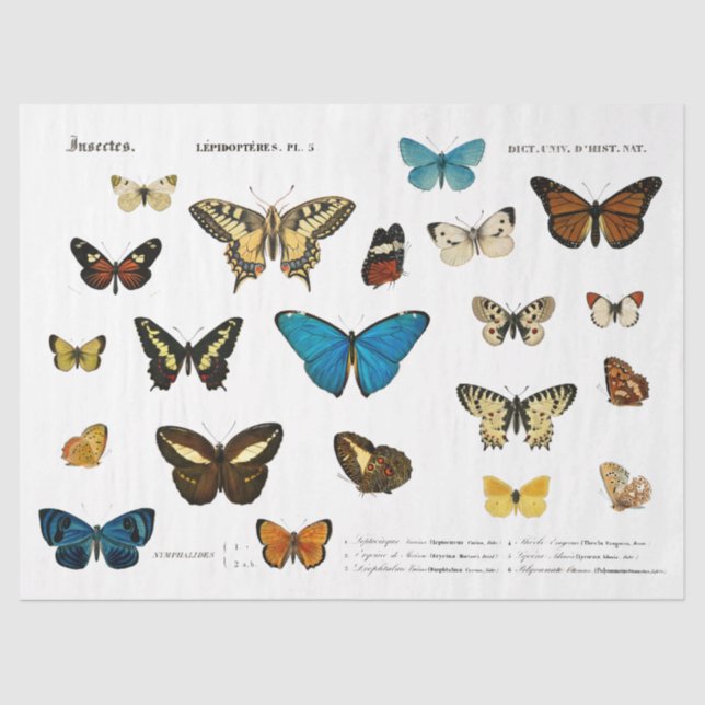 Butterfly Vintage French Decoupage Fussy Cut Tissue Paper (Front)