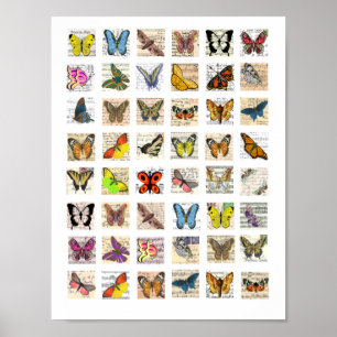 Butterfly Vintage Postcard art Collage sheet Poster