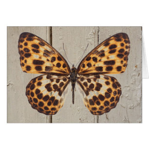Butterfly w/Leopard Spots on Wood Background Card
