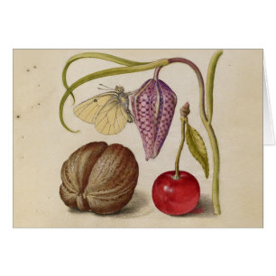 Butterfly Walnut Flower and cherry Watercolor