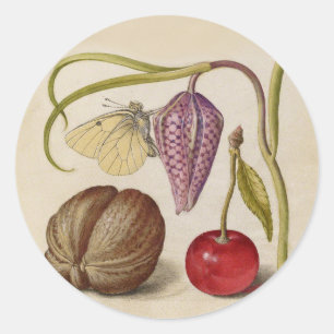 Butterfly Walnut Flower Cherry Watercolor Art Classic Round Sticker