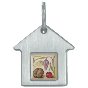 Butterfly Walnut Flower Cherry Watercolor Art Pet Tag