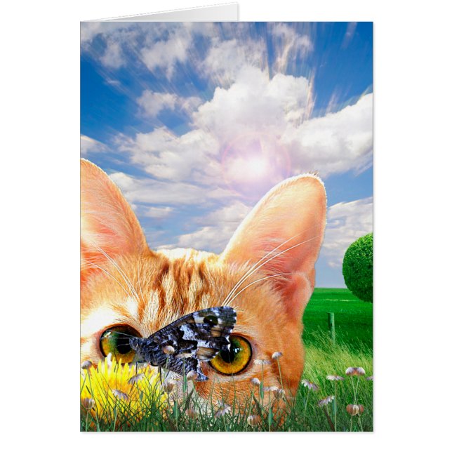 Butterfly Watcher (Front)