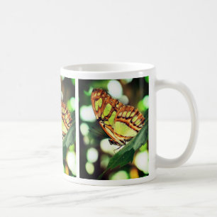 Butterfly Watching Nature  Coffee Mug