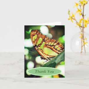 Butterfly Watching Nature Personalised Thank You Card